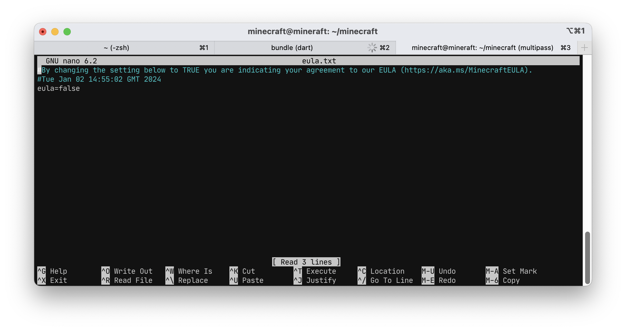 A terminal window showing eula.txt open in nano